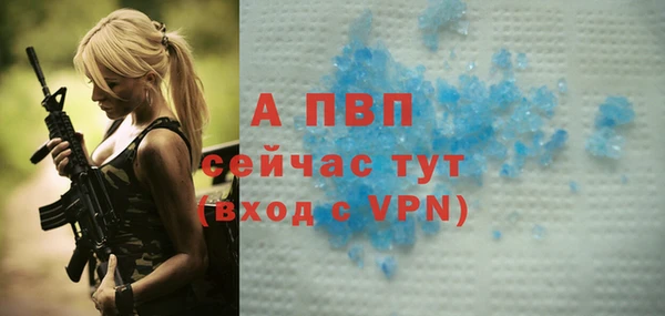 ПСИЛОЦИБИНОВЫЕ ГРИБЫ Покров