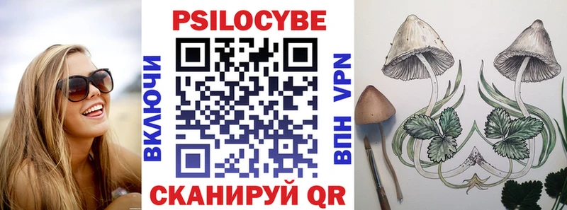 Галлюциногенные грибы прущие грибы  Советск 